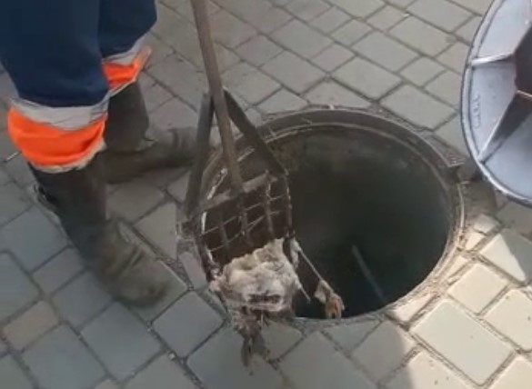 Без имени.jpg