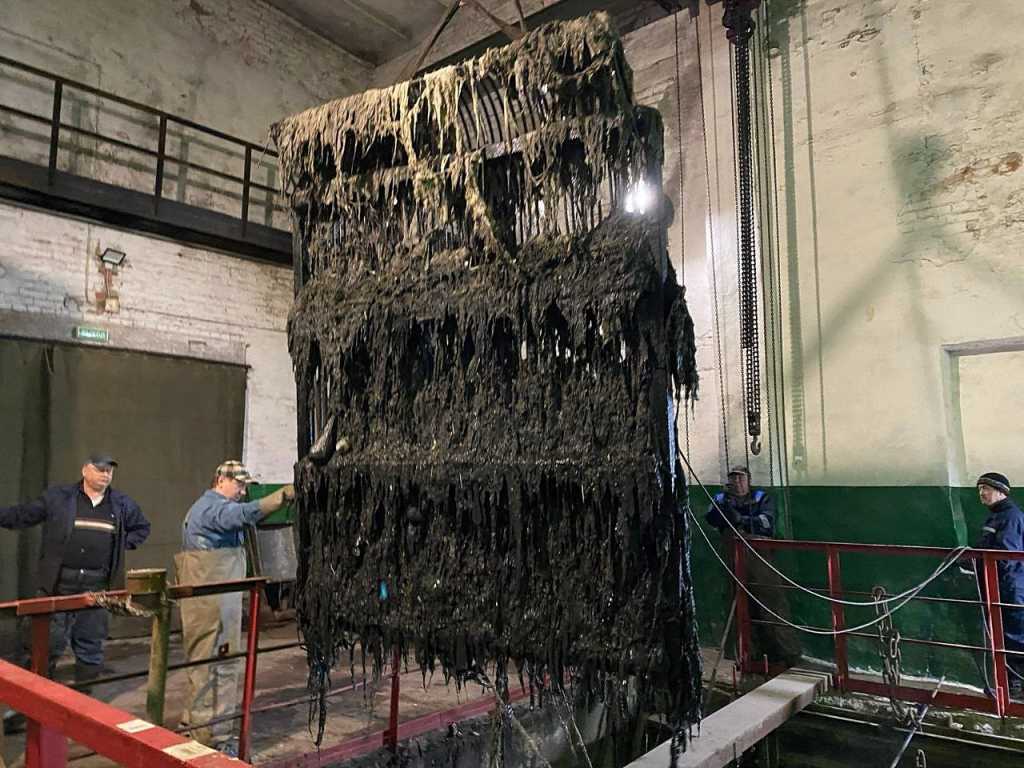 12. 2 краском.jpg