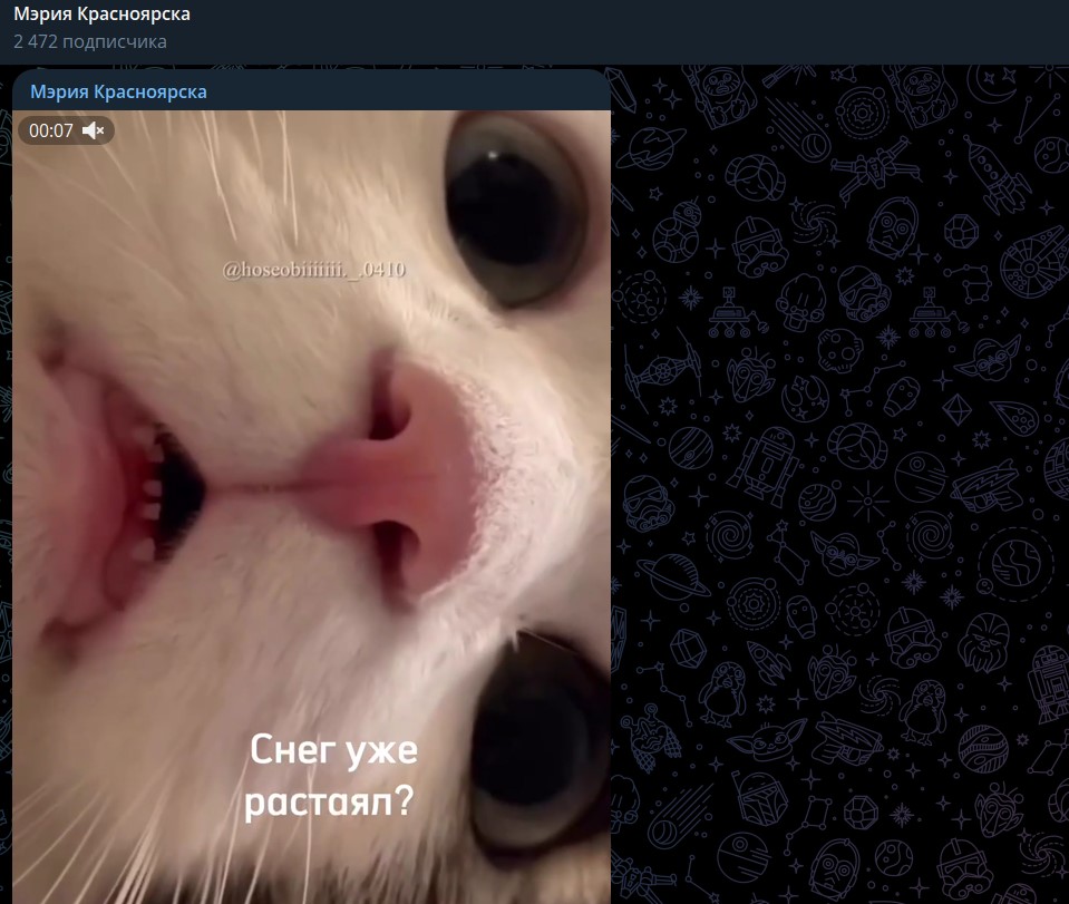 Без имени.jpg