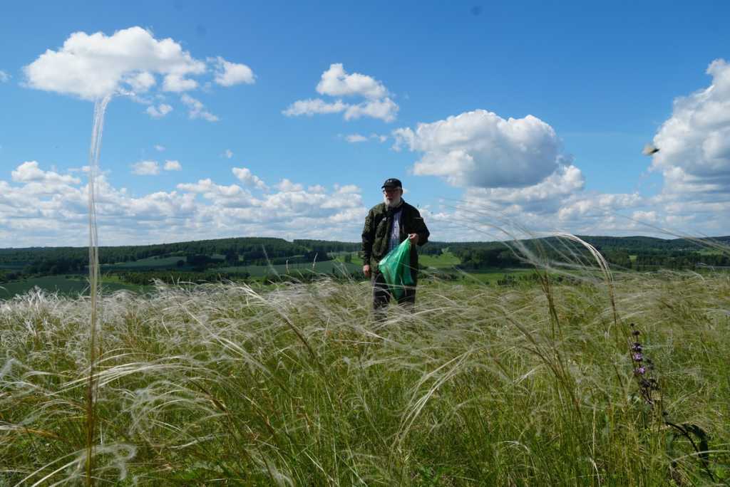 DSC01554_новый размер.JPG