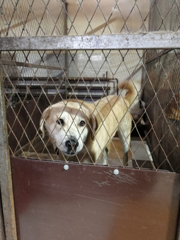 Ковчег надежды (6).jpg