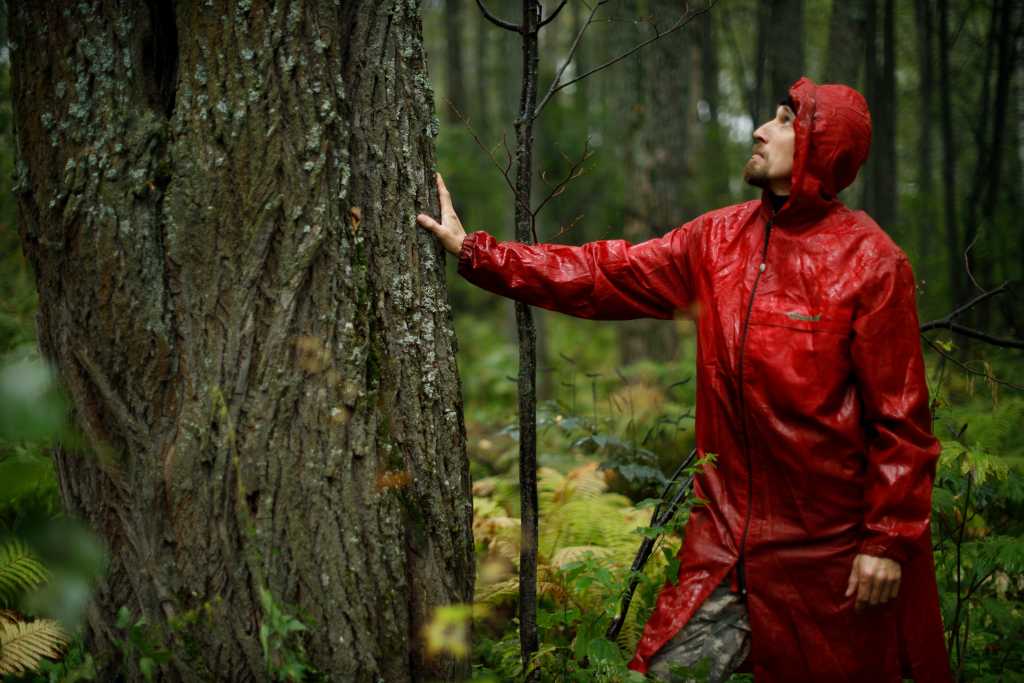 Фото2 (2).jpg Фото2 (2).jpg