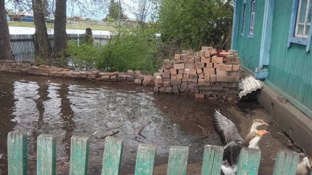 uroven-vody-v-yuzhnyh-rayonah-krasnoyarskogo-kraya-snizhaetsya_1621760699903345619.jpg uroven-vody-v-yuzhnyh-rayonah-krasnoyarskogo-kraya-snizhaetsya_1621760699903345619.jpg