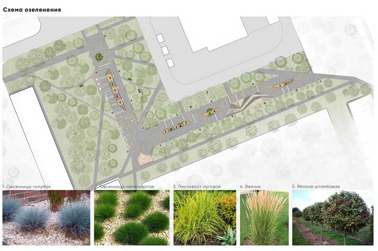 Сквер Карбышева_схема озеленения.jpg