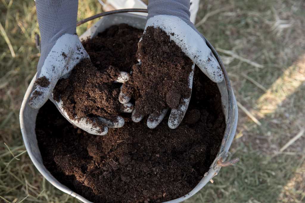 compost-still-life-concept.jpg