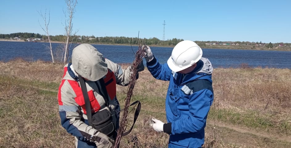 оборванный трос.jpg