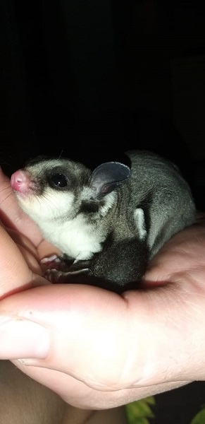 WhatsApp Image 2020-09-13 at 13.58.11.jpeg