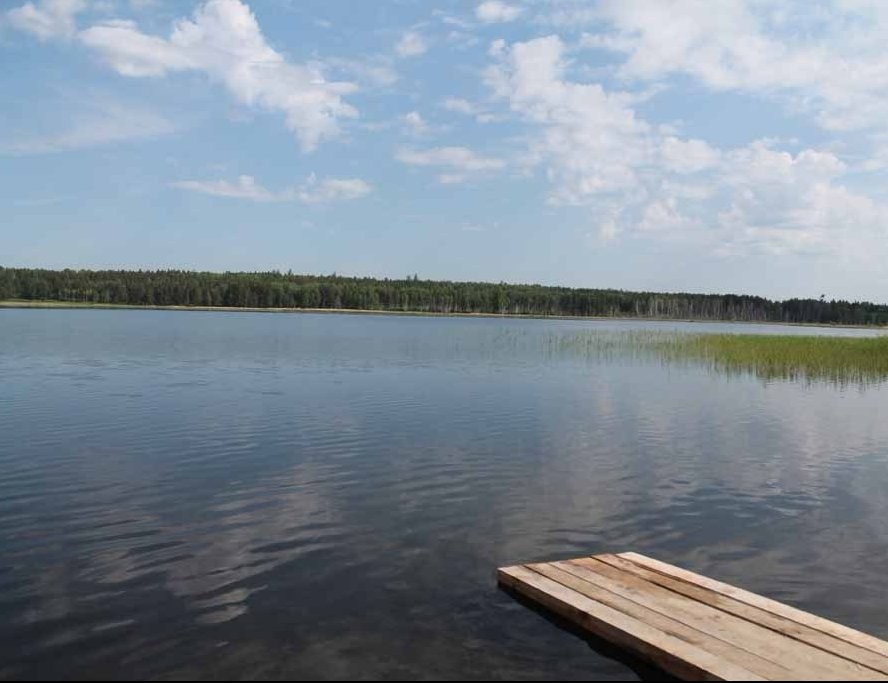 naenisee.ru.jpg