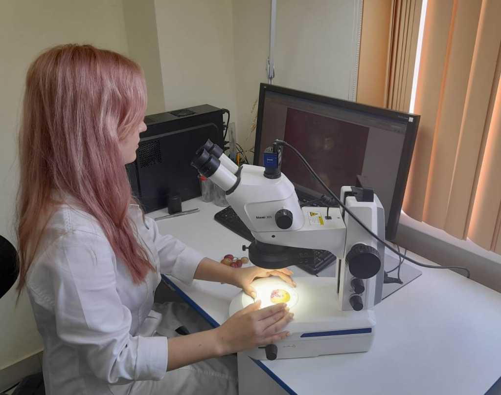 Фрукты экспертиза в лаборатории.jpeg