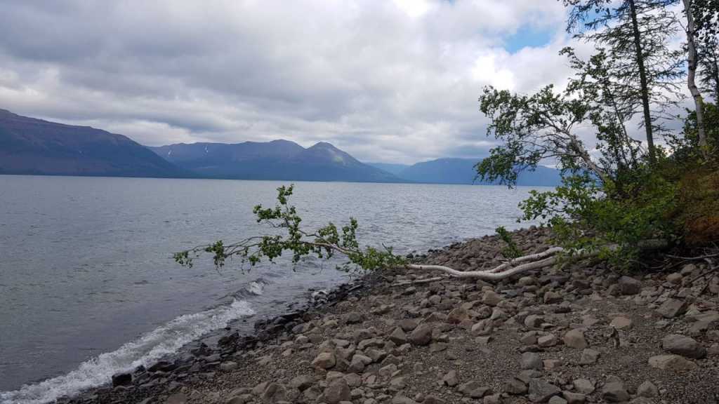 photo_2022-07-11_11-18-13 (2).jpg