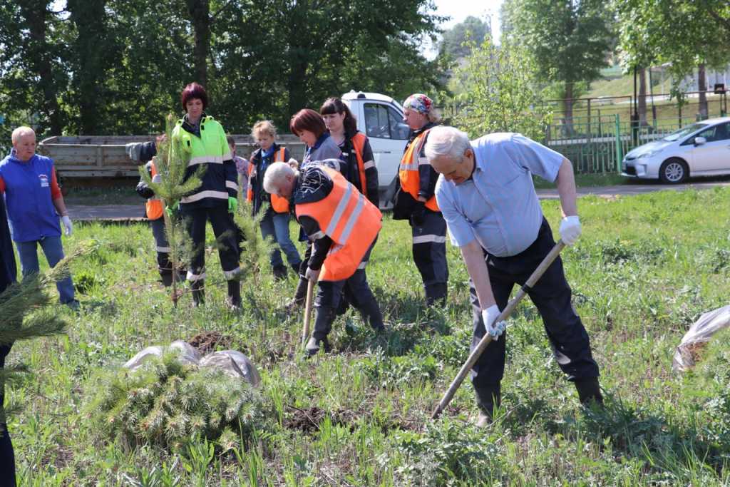 20220530-озеленение (1).jpg