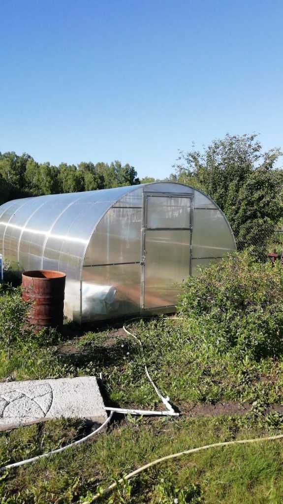 Садоводство в Емельяновском районе (4).jpg