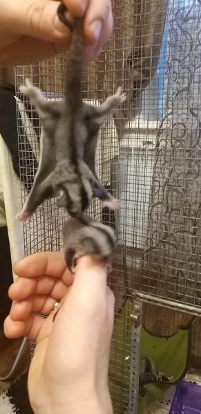 WhatsApp Image 2020-09-13 at 13.58.11 (1).jpeg