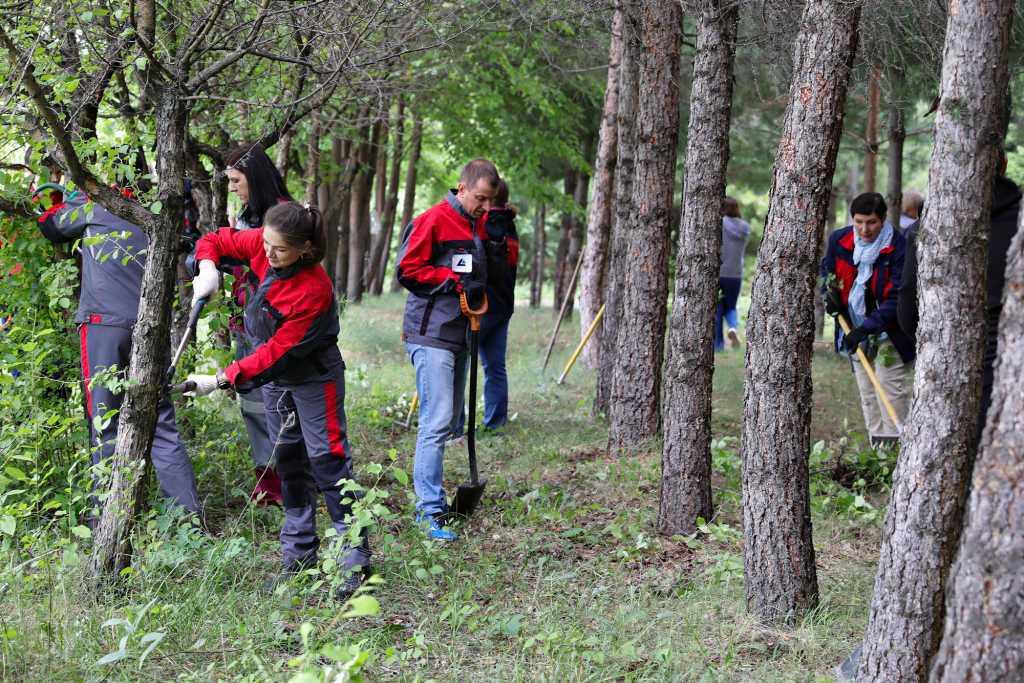 2W9A9634.jpg 2W9A9634.jpg