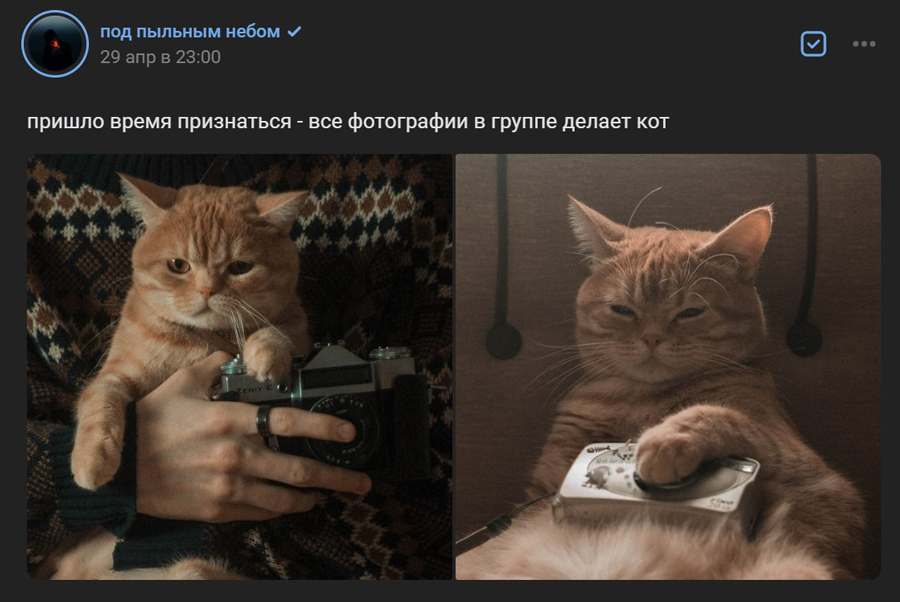 ВСЁ-ДЕЛАЕТ-КОТ.jpg