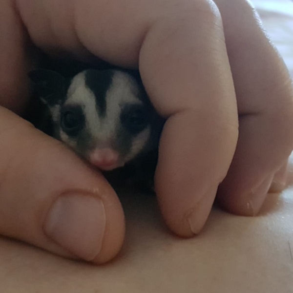 WhatsApp Image 2020-09-13 at 18.27.55.jpeg