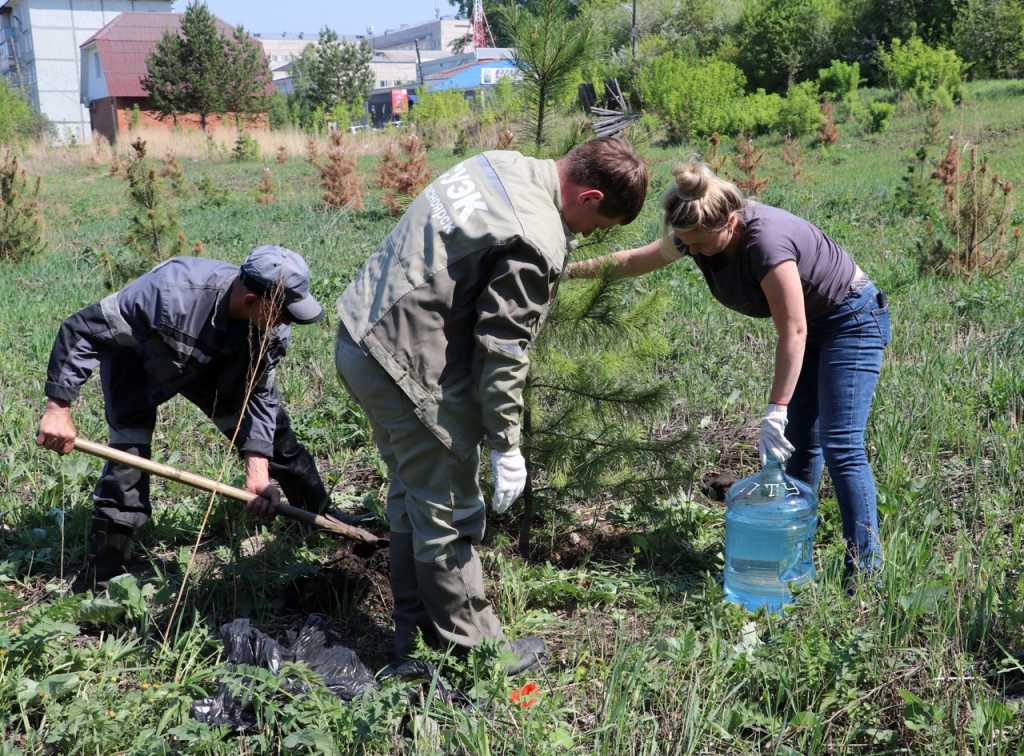 20220530-озеленение (2).jpg