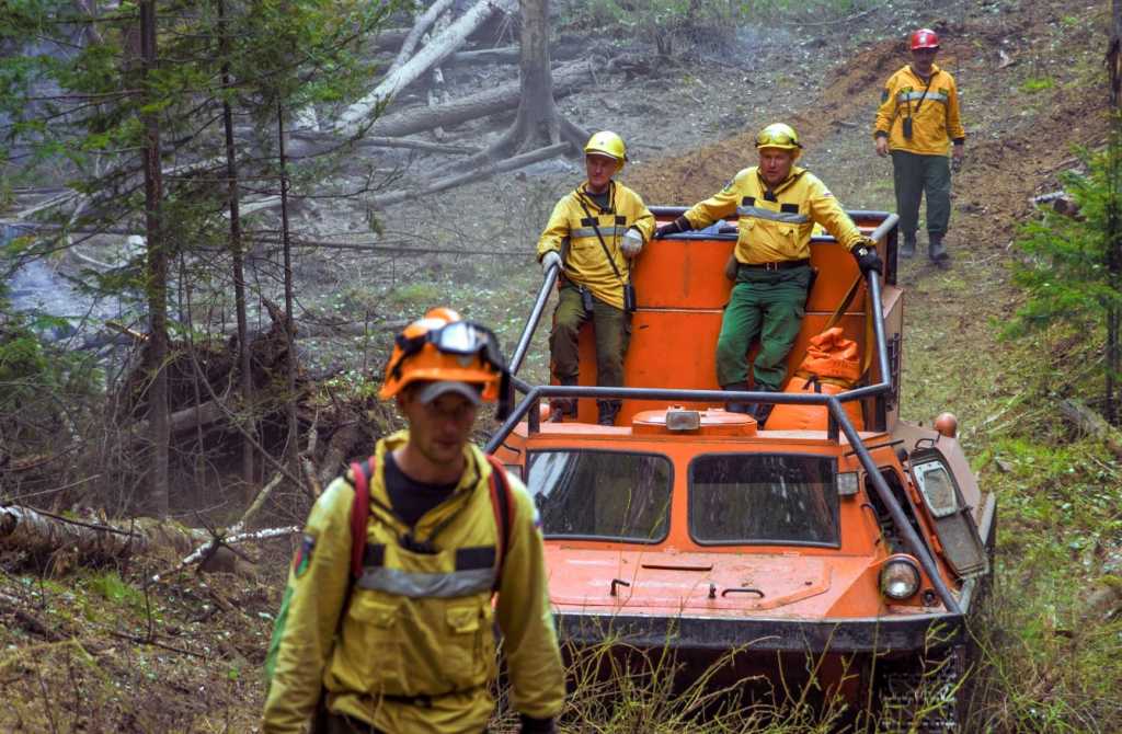 тушение лесных пожаров.JPG