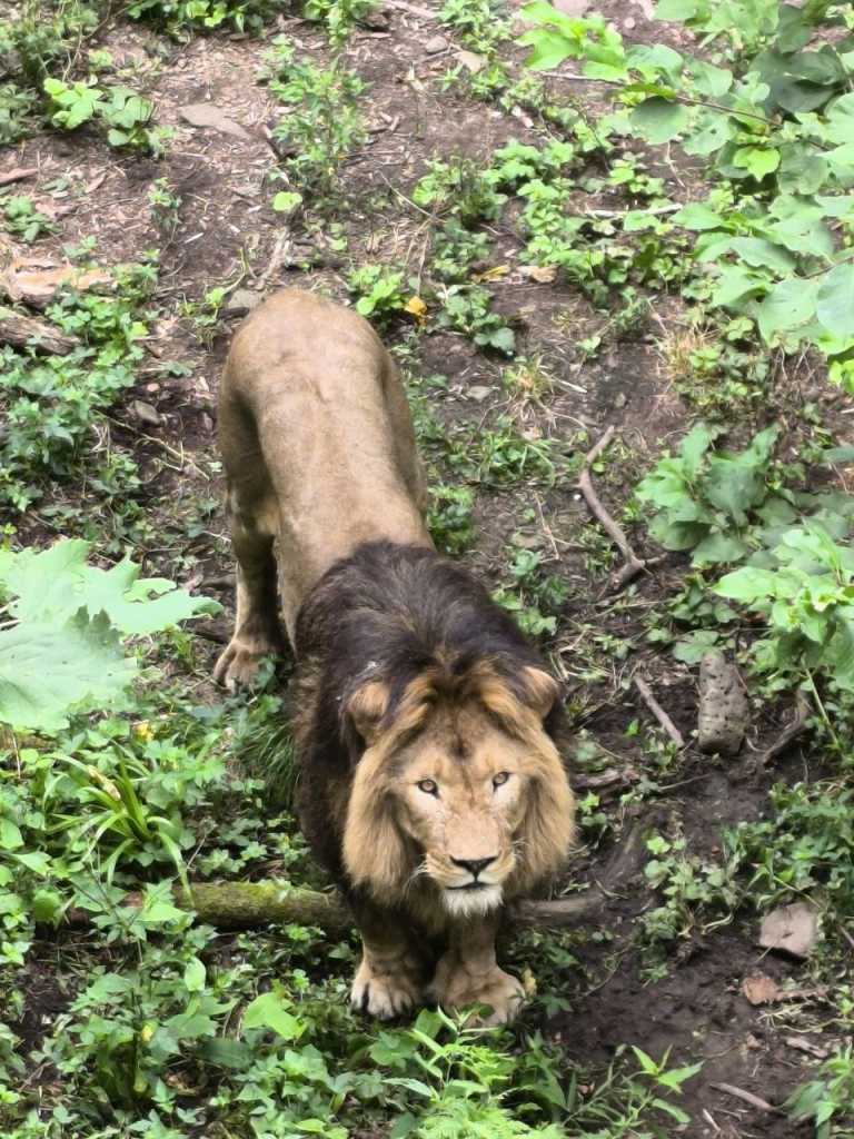 photo_2025-07-25_21-26-12 (2).jpg