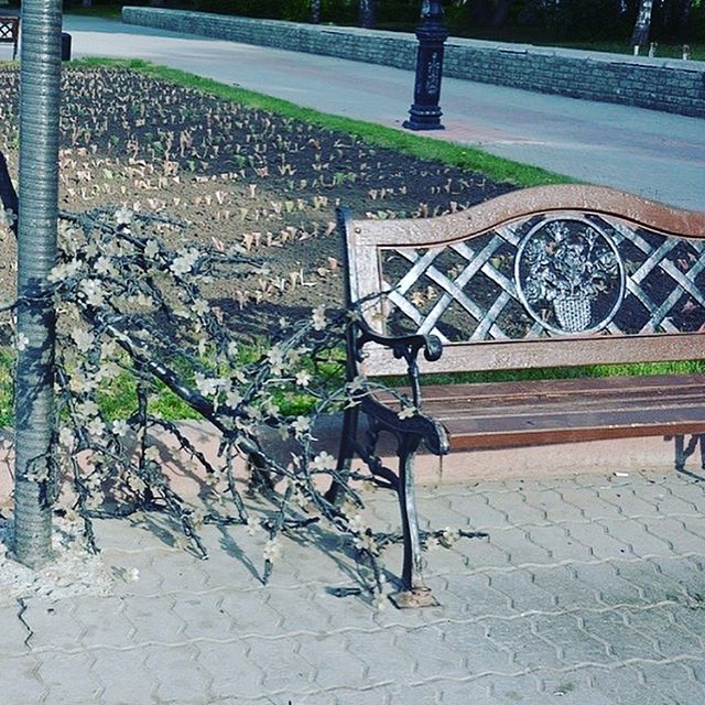 Площадь Мира_1.jpg